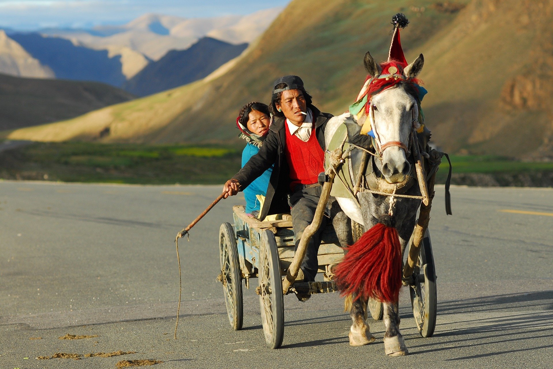 horse-drawn-carriage-952688_1920
