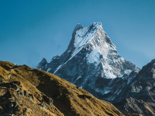NATUURLIJK NEPAL